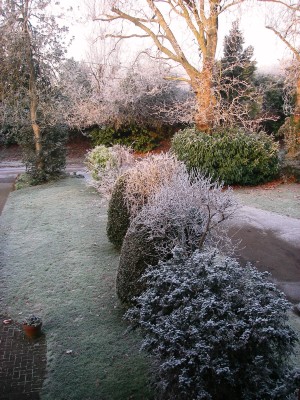 front_garden_winter.JPG
